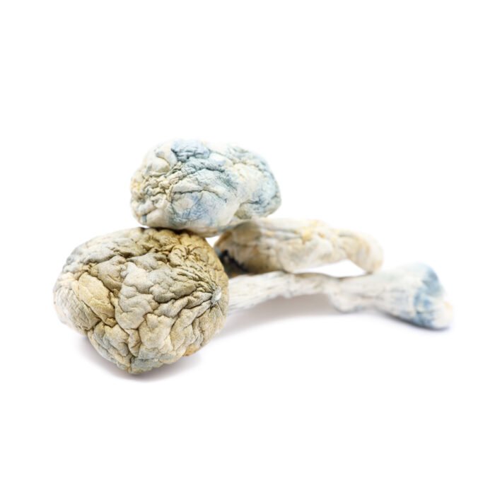 Alien-Bubbles-Magic-Mushrooms.jpg