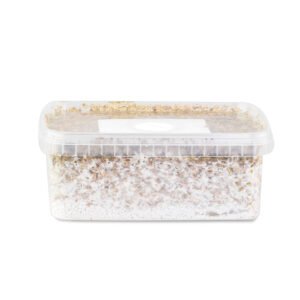 Amazonian-Mushroom-Grow-Kit-1.jpg