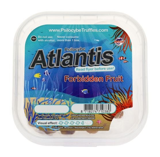 Atlantis-Magic-Truffles-1.jpeg Atlantis-Magic-Truffles-1.jpeg