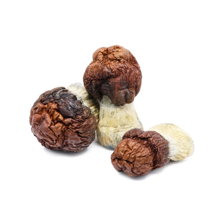 Bluey-Vuitton-Magic-Mushrooms.jpg