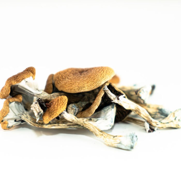 Brazilian-Magic-Mushrooms.jpg