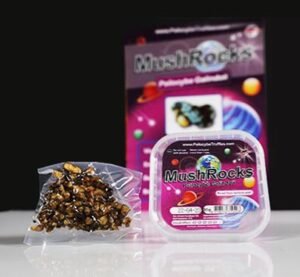 Mushrocks-Magic-Truffles-1.jpeg