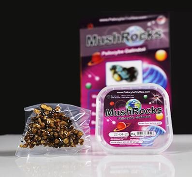 Mushrocks-Magic-Truffles-1.jpeg Mushrocks-Magic-Truffles-1.jpeg