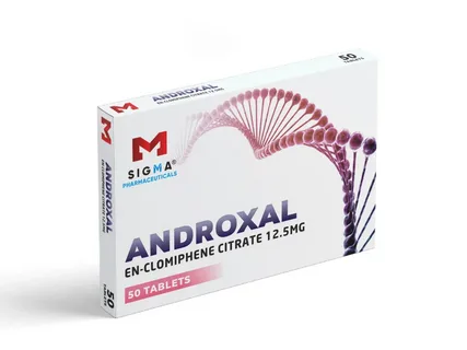 i-2025-09-19T113915.053.webp i-2025-09-19T113915.053.webp