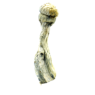 image-16-1.png